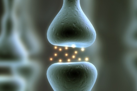 Biofeedback in München © Sebastian Kaulitzki - Fotolia.com (Ausschnitt)