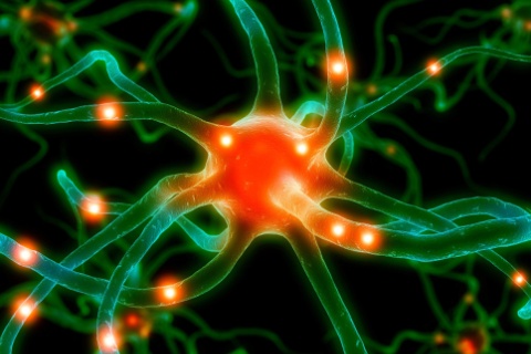 Anwendungsgebiete Biofeedback © Microsoft ClipArt Gallery (Ausschnitt)