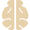 Gehirnaktivität (EEG)