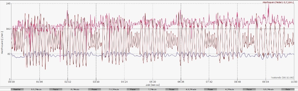 © Bernd Heiler - Atemfrequenz